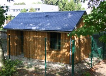 Abris cloture bois 8