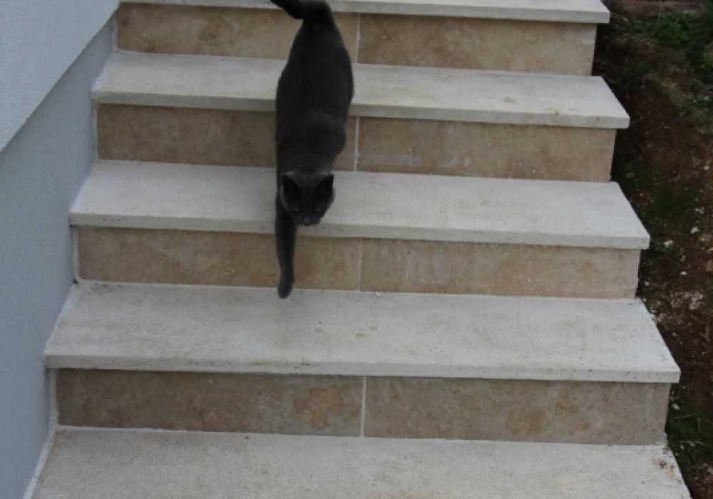Escalier 10