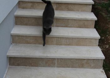 Escalier 9