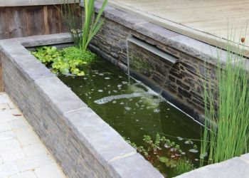 Cascade 9