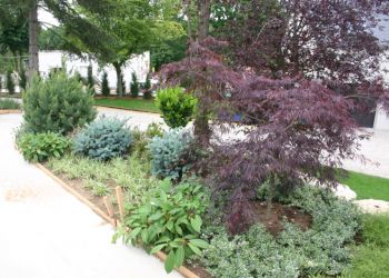 Plantations paysagère 1