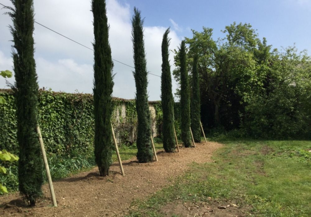 Plantations paysagère 5