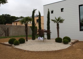Plantations paysagère 8