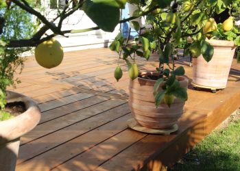 Création terrasse en bois 2024 62